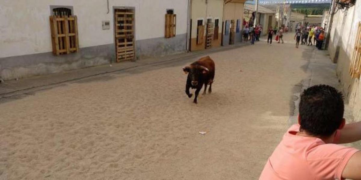 Fiestas Patronales