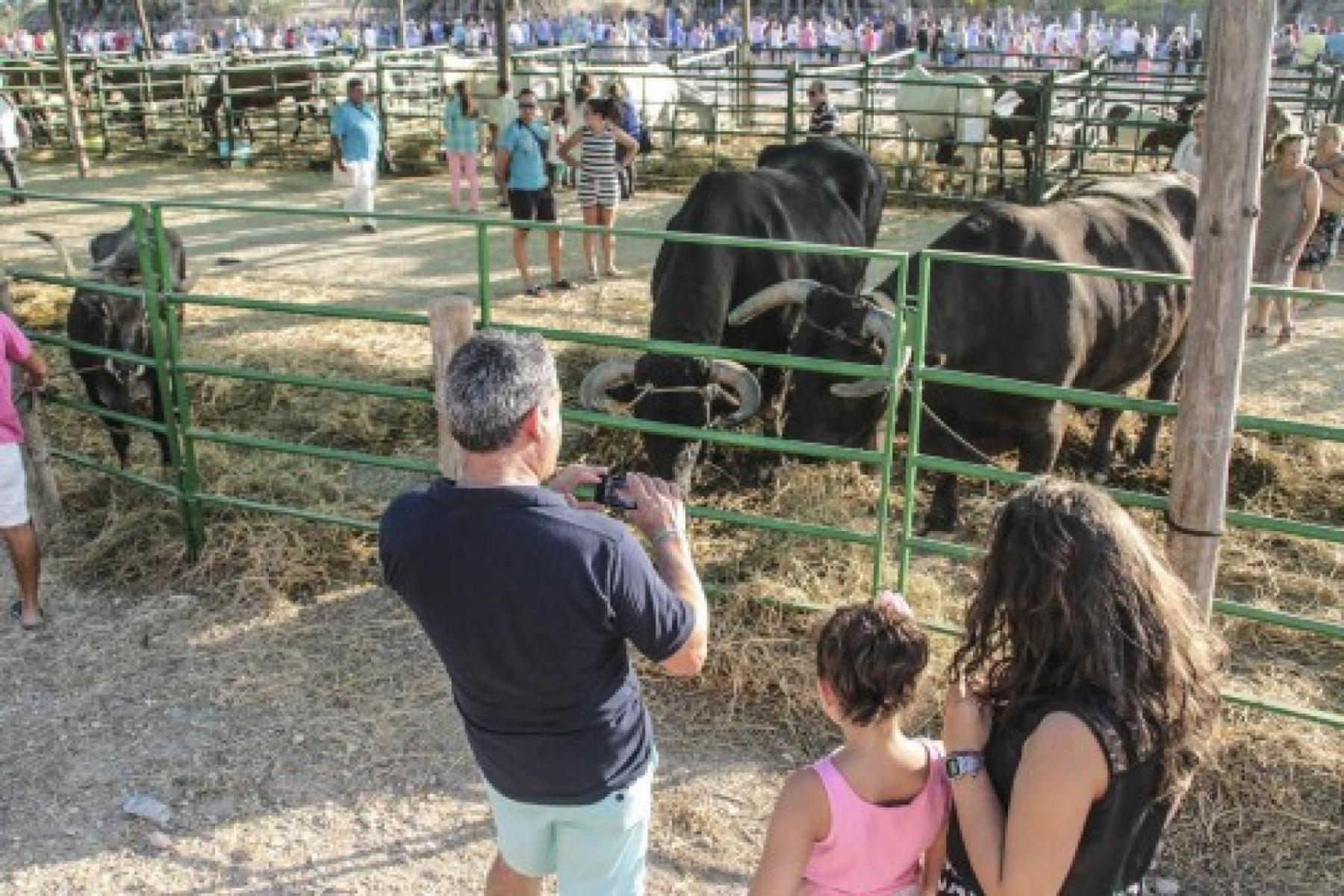 Feria de Ganado
