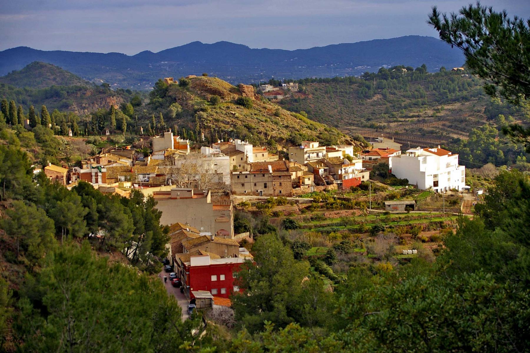 Fiestas Mayores
