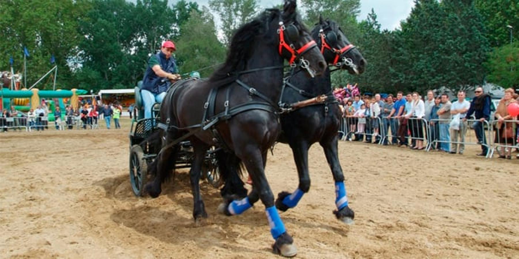  Feria de la Ascensión de Granollers