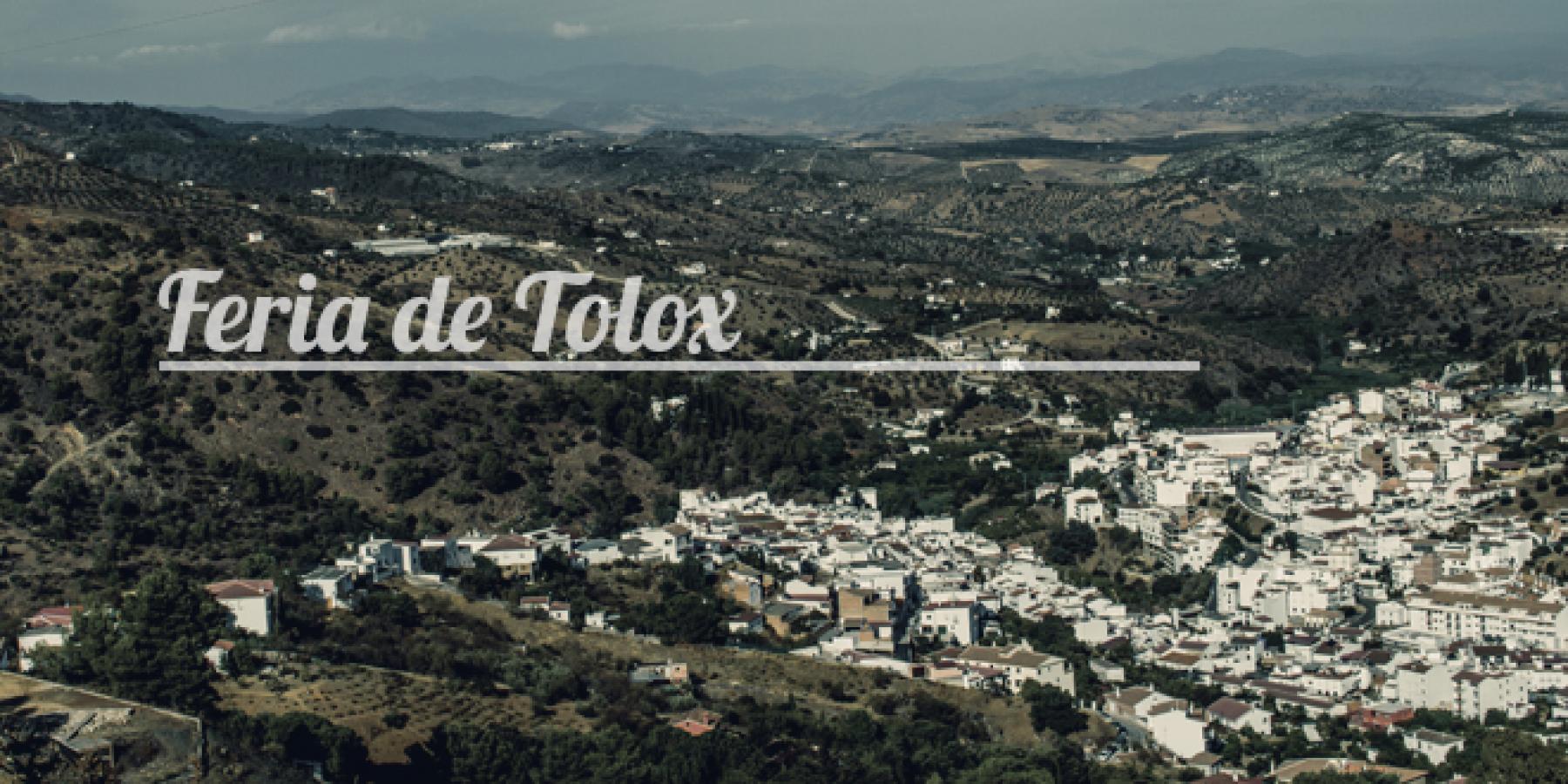 Fiestas y cohetá de San Roque