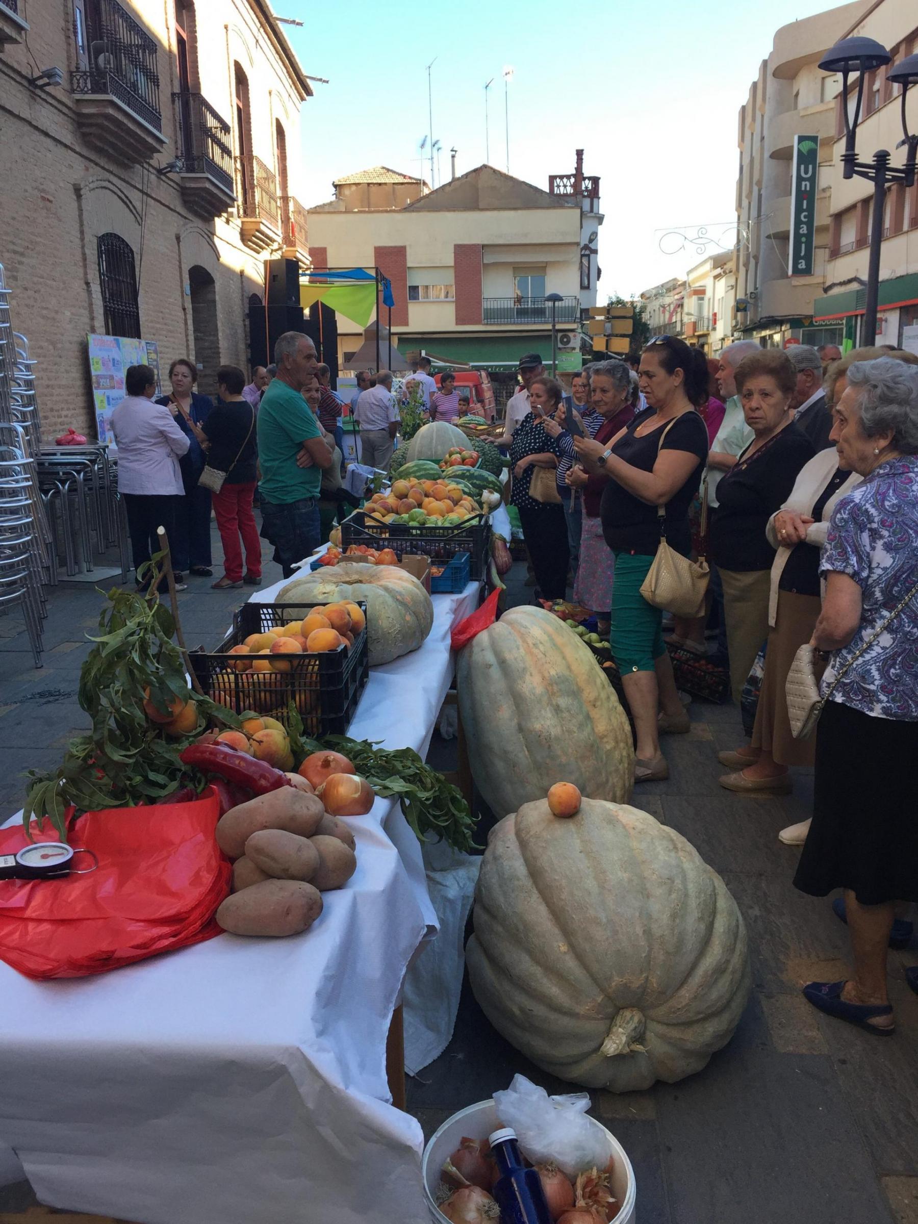 Feria y Fiestas de Malagon