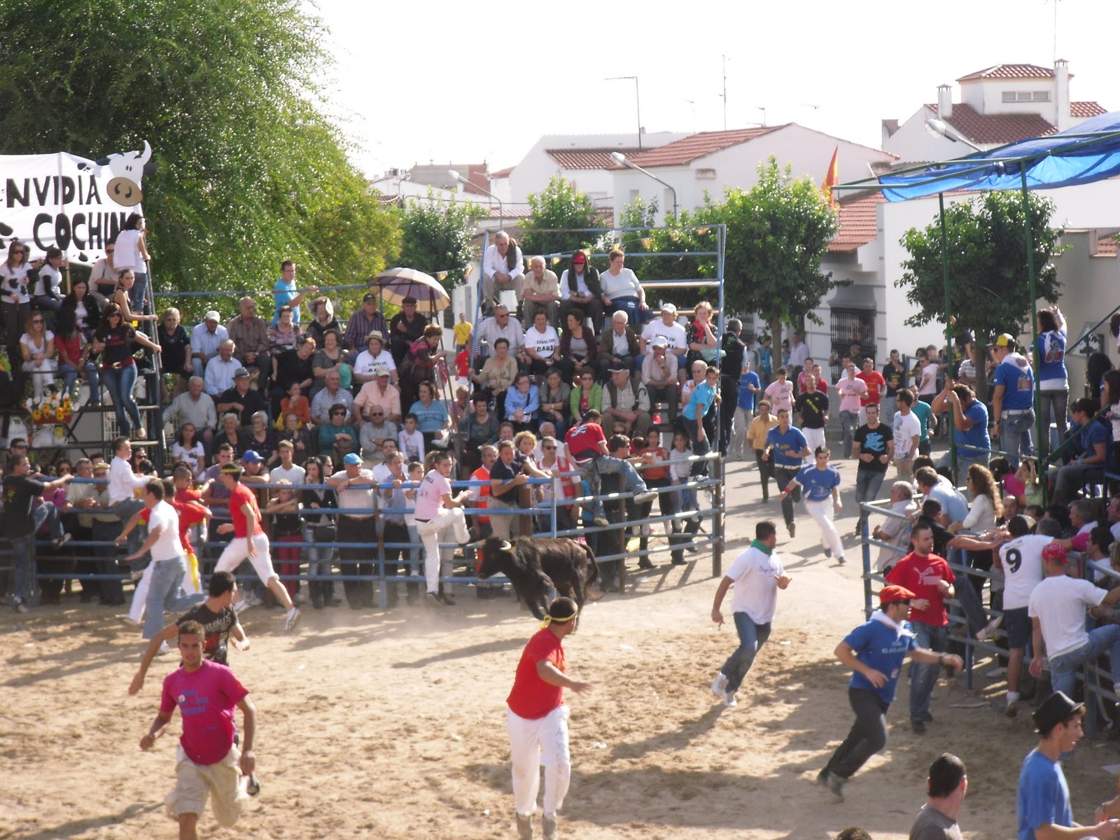 Fiestas del Pilar